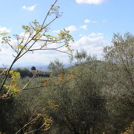 Country House Il Covo Della Civetta 巴巴里诺瓦德尔萨 外观 照片