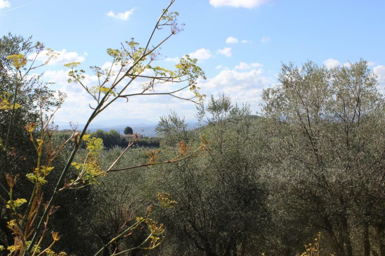 Country House Il Covo Della Civetta 巴巴里诺瓦德尔萨 外观 照片