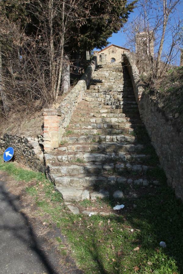 Country House Il Covo Della Civetta 巴巴里诺瓦德尔萨 外观 照片